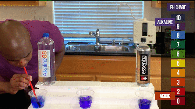 Alkaline88 vs Essentia Alkaline88 vs Essentia