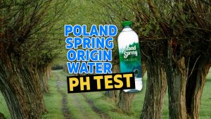 poland spring origin water Ph Test